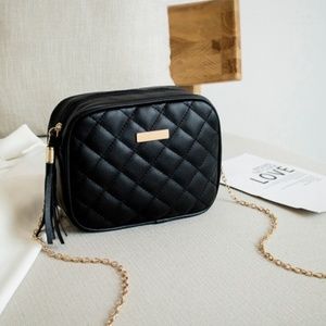 Small Shoulder Tassel Chain Messenger Bag Embroidery